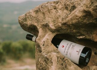 Marne 180 Amarone della Valpolicella Docg 2019 Marne 180 Amarone della Valpolicella Docg 2019